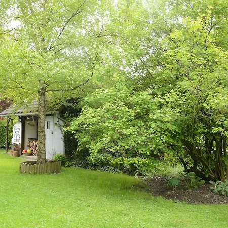 Former In A Quiet Village